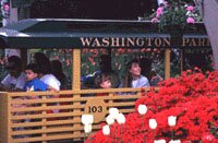Train Ride