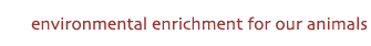 Enrichment Programs