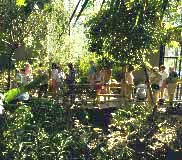 Inside the Aviary