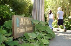 Africa Rainforest Exhibit