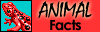 Animal Facts