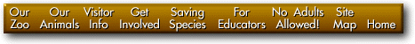 bigbar1.GIF (9850 bytes)