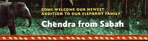 Welcome Chendra