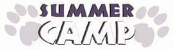 Summer Camp