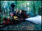 train