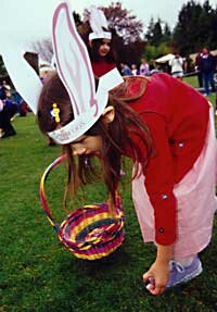 Rqabbit Romp