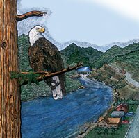 Eagle
