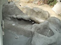 Early Salmon Pool