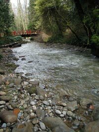 Johnson Creek