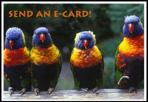 ecard