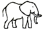 Draw Packy the Elephant!