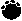 Paw Print