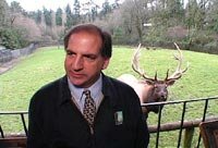 Tony Vecchio with Reindeer Cousin