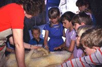ZooGuide