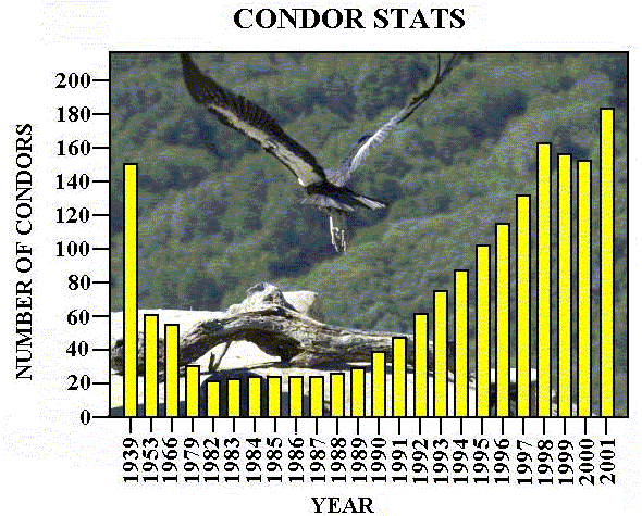 Condor Stats
